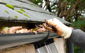 gutter cleaning Hartmoor, Dorset