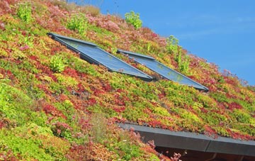 Hartmoor living roof systems