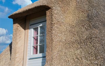 Hartmoor thatch roof disadvantages