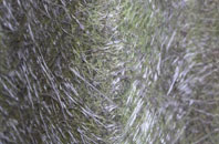 Hartmoor fibreglass roof work